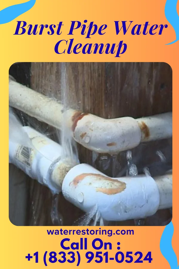 Burst Pipe Water Cleanup in Rupert, WV