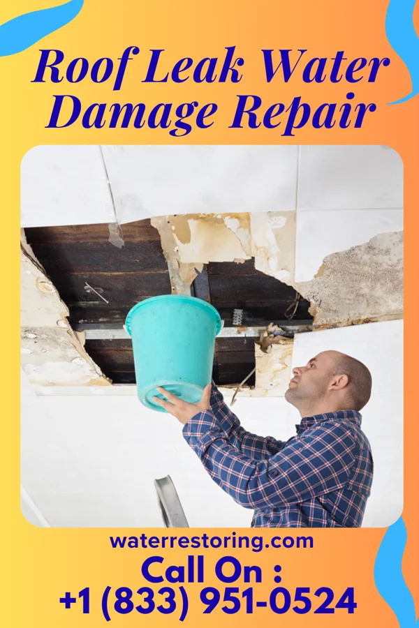 Roof Leak Water Damage Repair in Rupert, WV