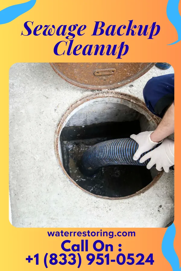 Sewage Backup Cleanup in Rupert, WV