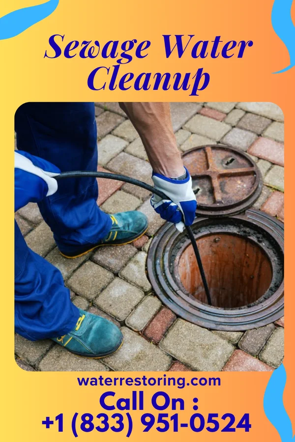 Sewage Water Cleanup in Rupert, WV