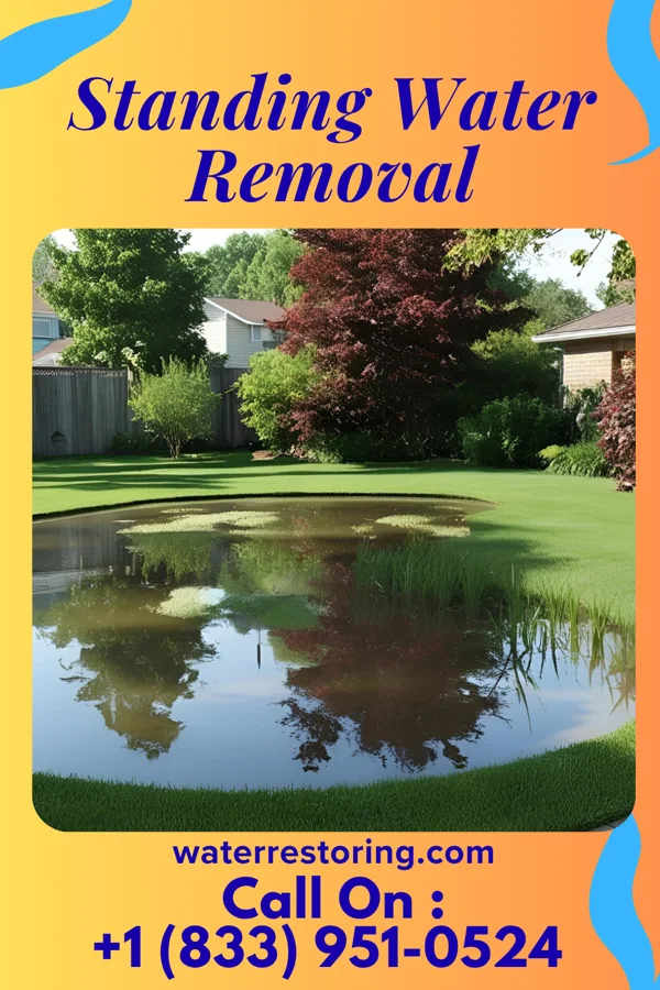Standing Water Removal in Rupert, WV